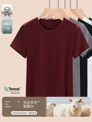 天丝莱赛尔羊毛体恤圆领正肩短袖T恤女2025新款夏季洋气时尚上衣