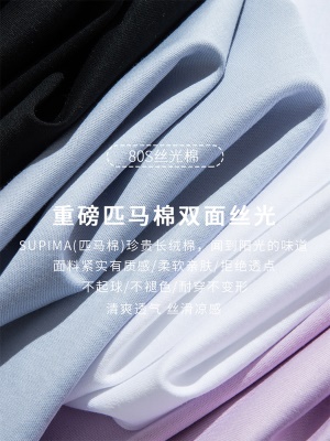 高级感丝光棉短袖t恤女2025新款正肩百搭棉液氨体恤小白T恤上衣夏