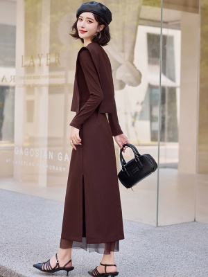 初秋季休闲套装女2025新款时尚洋气轻奢高级感网纱拼接裙子两件套