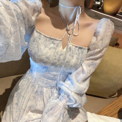 ByYou2025新款早春青花瓷系列高级感气质碎花连衣裙收腰长款a字裙