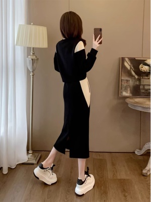 早春搭配一整套时尚洋气高级感气质显瘦休闲卫衣半身裙两件套装女