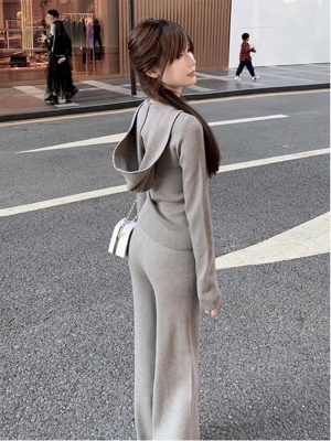 休闲运动套装女早秋冬季2025新款时尚显瘦针织卫衣阔腿裤两件套潮