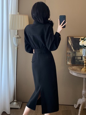 黑色气质高级感衬衫连衣裙女2025秋季新款修身包臀通勤POLO小黑裙