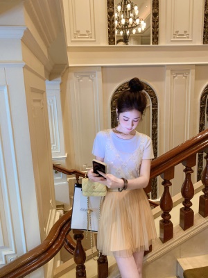 百褶半身裙女春夏新款网纱蓬蓬裙高腰短裙蛋糕裙子