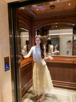 高腰a字半身裙女2025新款气质网纱蛋糕裙好看的短裙